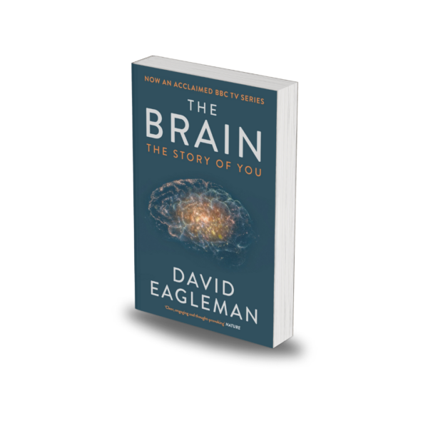 The Brain by David Eagleman