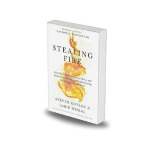 Stealing fire by Steven Kotler