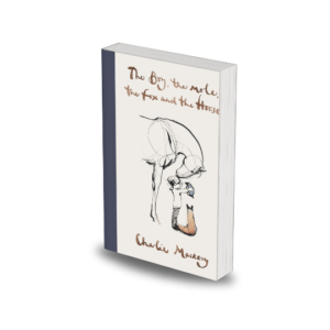 The Boy, the Mole, the Fox and the Horse and Storm(Hardcover) by Charlie Mackesy