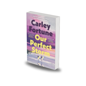 Our Perfect Storm by Carley Fortune