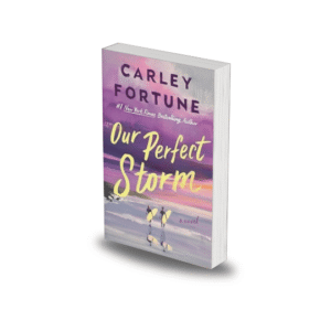 Our Perfect Storm by Carley Fortune